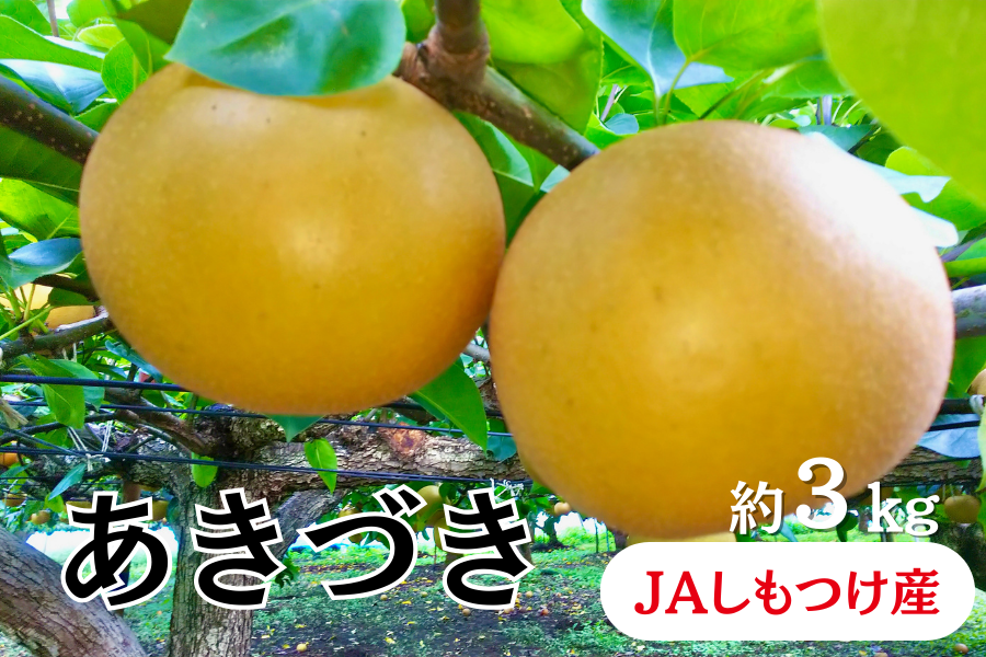 栃木県産　梨3kg箱　5〜8玉