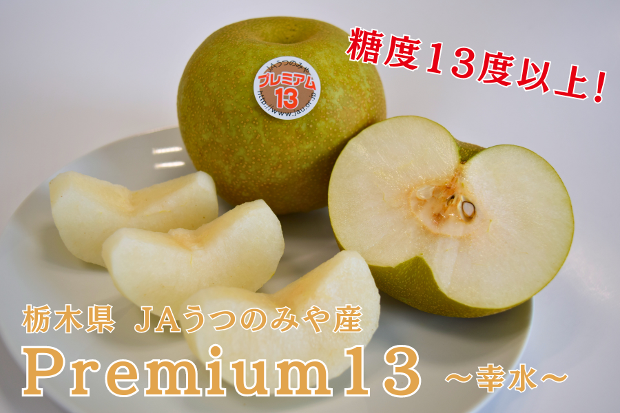 数量限定】梨 Premium13 幸水 (約5kg/特秀10～16玉) JAうつのみや産 ※8