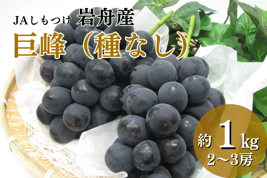 お中元】巨峰 ブドウ 
