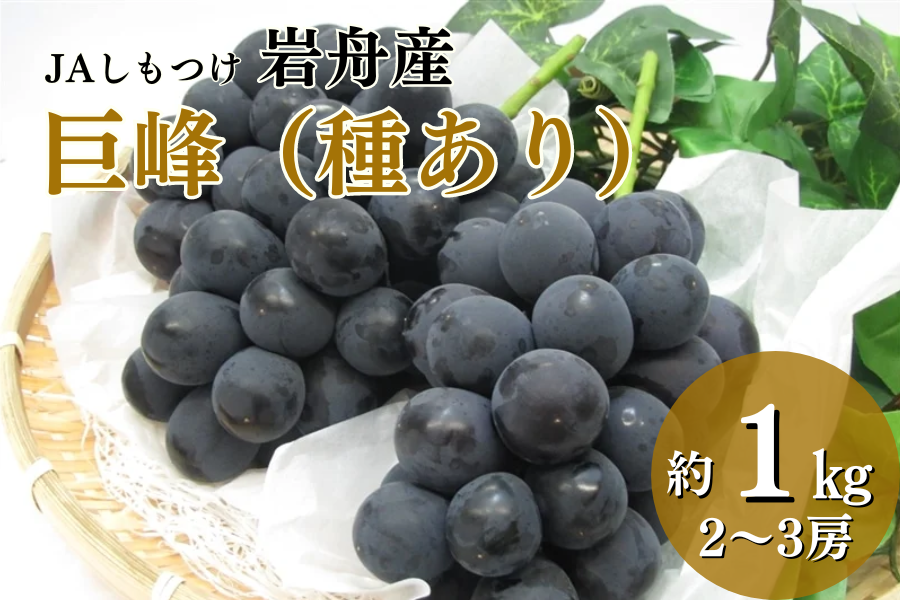 巨峰 ブドウ 