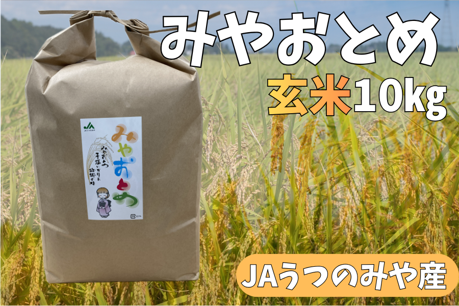 令和7年産】栃木県産 JAうつのみや産 コシヒカリ みやおとめ 玄米10kg