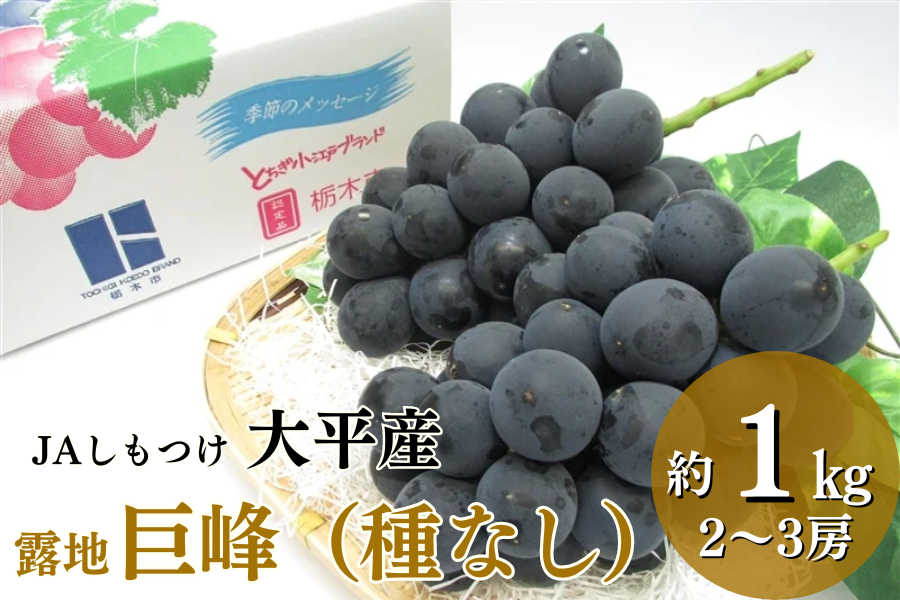 巨峰 露地ブドウ”種なし”(約1kg/2～3房) JAしもつけ 大平産: とちぎ