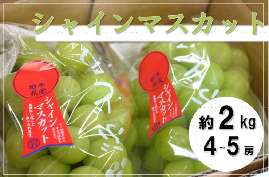お歳暮】【限定30箱】貯蔵シャインマスカット ブドウ (約2kg/4~5房
