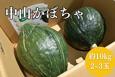 y10P[Xzʁ13sȏ⒆Rڂ(10kg/2`3ʓ)JAȂY8/1`