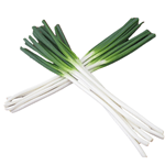 ߐ{̔l˂ ˂ (3{×10) JAȂ̎Y N12/8`12/25AN1/8`