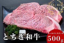 �y���̓��z�Ƃ����a���T�[���C���X�e�[�L�i250g×2���j