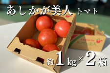 あしかが美人　 トマト (AL約1kg箱×2箱)　JA足利産