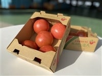 あしかが美人　 トマト (AL約1kg箱×3箱)　JA足利産