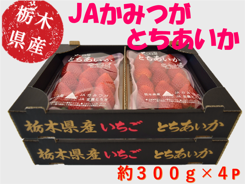  Ƃ (300g×4pbN) Ȗ، JA݂Y