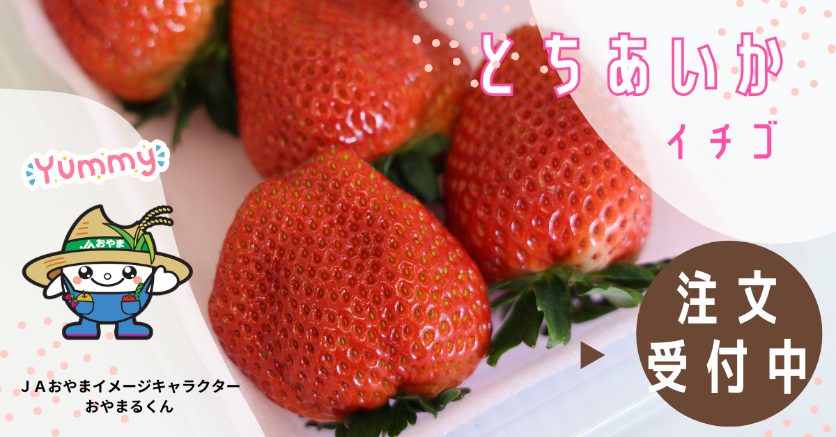 いちごの移動販売のお知らせです📢 コードファーム175です！ 今年から移動販売が新始動です🚗🍓 2月は「JR宝塚駅前」 「吹きぬけマルシェ」  「冬の食三昧市2025」に出店を予定しております🎉 より多くの方に コードファームのこだわりいちごを味わってもらえればなと思っ 