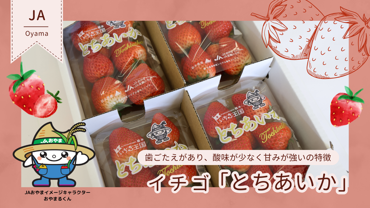 � �Ƃ��������i��260g×4�p�b�N�j�Ȗ،� JA����܎Y ��1/14�`�����o��