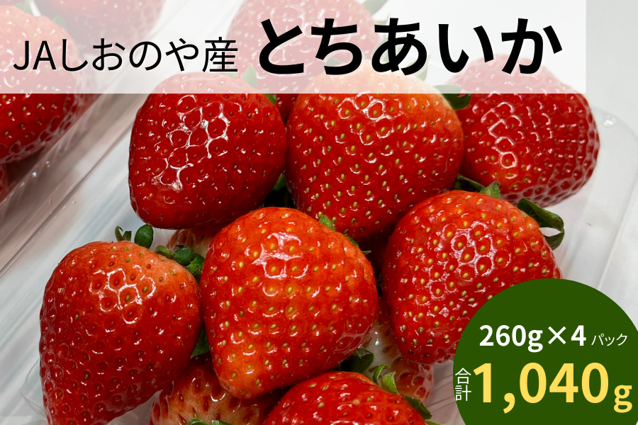 3101-aika01-shionoya-regu.png