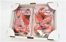 週末特価セール！とちあいか20パック 3101-aika01-shionoya.JPG