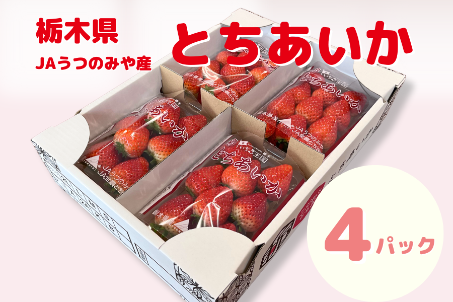  Ƃ i260g×4pbNj Ȗ، JA݂̂Y