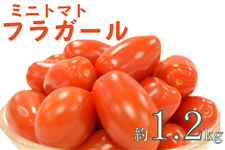 ~jg}gutK[vJA݂̂Yi300g×4pbN/1.2kgj