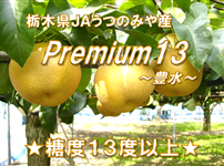 yʌz Premium13 L (5kg/G10E12E14) JA݂̂Y
