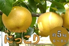 数量限定】梨 にっこり (約5kg/6～8玉) JAうつのみや産: とちぎ新鮮