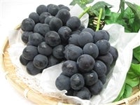  uhE "Ȃ" (1kg/2`3[) JA MY