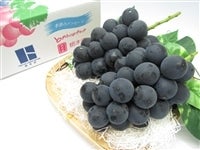  uhE "Ȃ" (1kg/2`3[) JA 啽Y