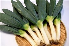 宮ねぎ (約2kg/10～15本) JAしもつけ産: とちぎ新鮮倉庫|【JAタウン