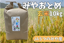 �Ȗ،��Y JA���݂̂�Y �R�V�q�J�� �݂₨�Ƃ� ����10kg