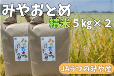 �Ȗ،��Y JA���݂̂�Y �R�V�q�J�� �݂₨�Ƃߐ���10�s�i5�s×2�j