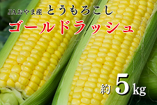 3101-morokoshi01-R8.png