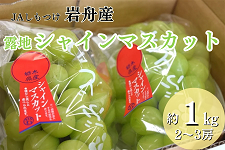 �V���C���}�X�J�b�g �I�n�u�h�E (��1kg/2�`3�[) JA������ ��M�Y