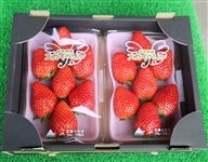  苺 スカイベリー  (280g平パック×2パック） 栃木県JAおやま産