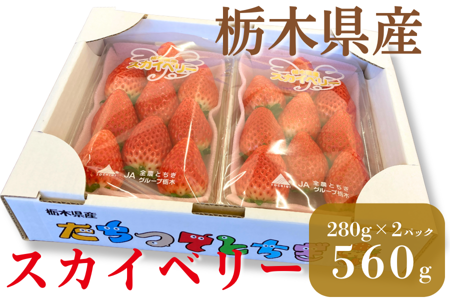 � �X�J�C�x���[�i��280g×2P�j�Ȗ،��Y ��1/8�`�����o��