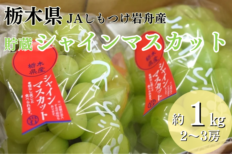 yʌzVC}XJbg uhE (1kg/2[) i` MY 12/15`31