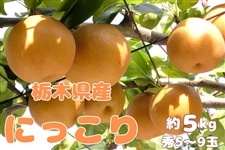 �y�H��JA�^�E���Ղ�z�� �ɂ����� (��5kg/�G5�`9��) �Ȗ،��Y ��9/24���`�����o�ח\��