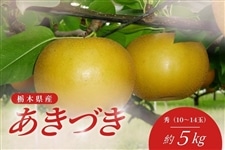 �y����100���z�� �����Â� (��5kg/�G10�`14��) �Ȗ،��Y