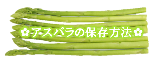 産地直送 通販 お取り寄せグリーンアスパラガス B品 1 6kg Jaうつのみや産 とちぎ新鮮倉庫 ｊａタウン