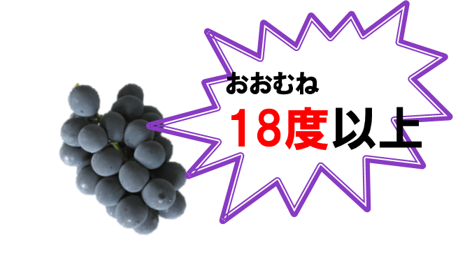 budou