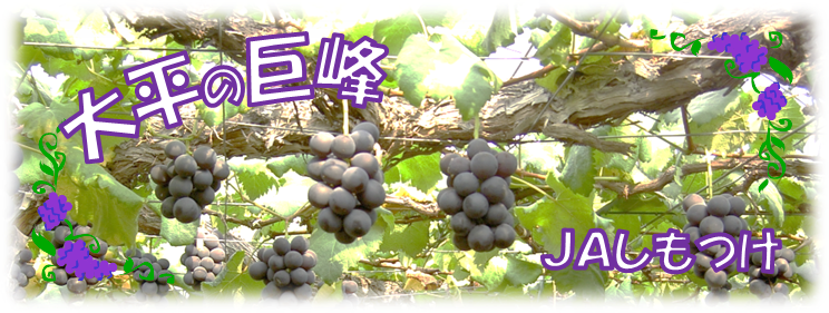 budou
