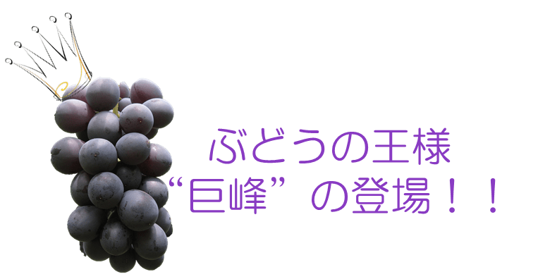 budou