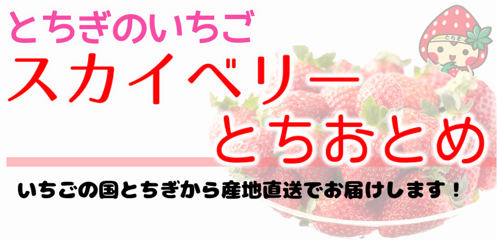 とちぎのいちご とちおとめ スカイベリー