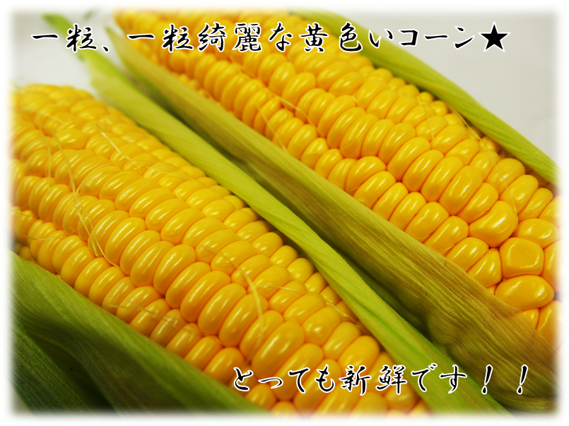 産地直送 通販 お取り寄せとうもろこし ゴールドラッシュ (約5kg/2Lサイズ13本) JAおやま産: とちぎ新鮮倉庫|JAタウン