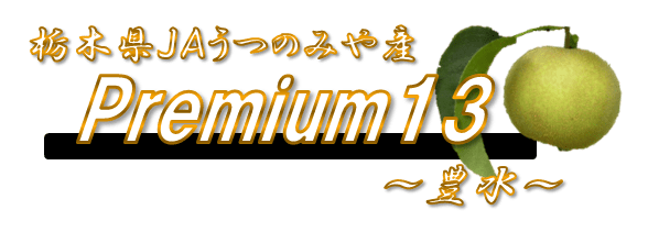 栃木県JAうつのみや産Premium13〜幸水〜