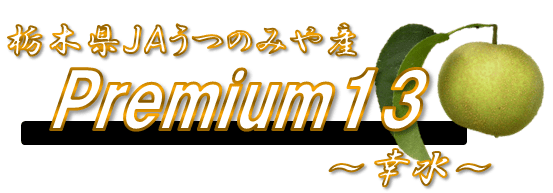 栃木県JAうつのみや産Premium13〜幸水〜