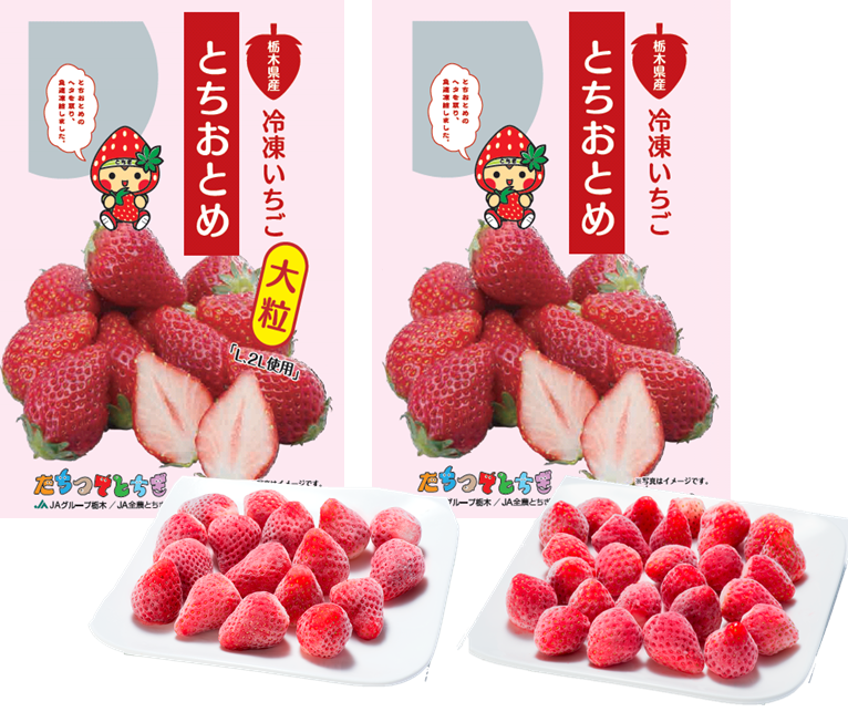 バレンタイン] 栃木県産冷凍とちおとめ（ＭＩＸ（大粒サイズ×２袋/Ｍ