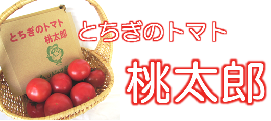 桃太郎トマト