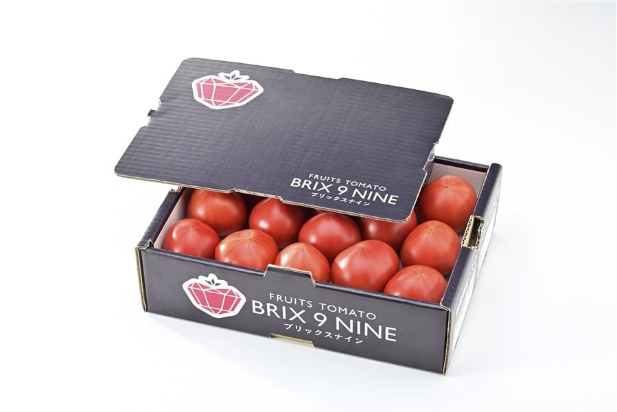 産地直送 通販 お取り寄せ１箱 ぐんまの誇る「フルーツトマト”ブリックスナイン”」（JAにったみどり）: 新鮮ぐんまみのり館|ＪＡタウン