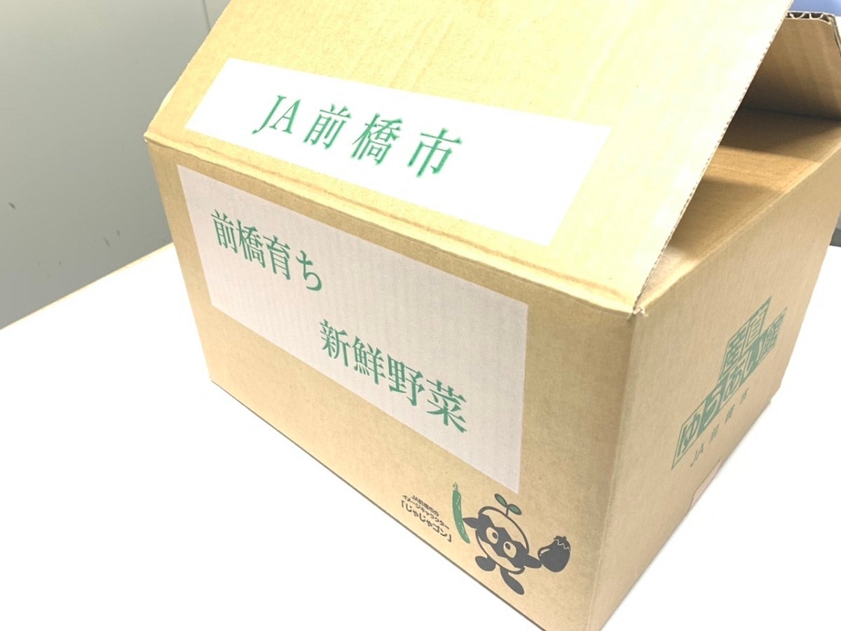 旬の野菜ボックス（ＪＡ前橋市）:　新鮮ぐんまみのり館|【ＪＡタウン】産地直送　通販　お取り寄せ
