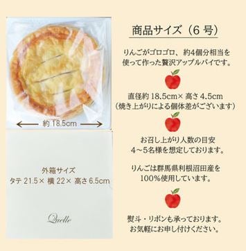 産地直送 通販 お取り寄せ お中元 吹割りんごの手作りアップルパイ 大 ６号 新鮮ぐんまみのり館 ｊａタウン
