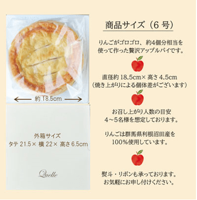アップルパイ様 リクエスト 10点 まとめ商品 母の日】吹割りんごの手作りアップルパイ（大）6号: 新鮮ぐんまみのり