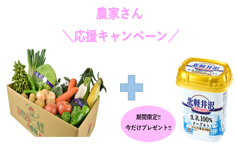 無農薬】週替わり！旬の紀州野菜の詰め合わせ1週間分|有機栽培