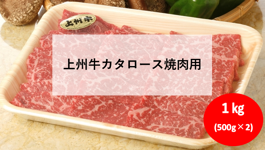 y①zBJ^[XēpP(TOOg×QpbN)