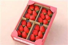 �y�����p�z�Q�n���Y�������Q�i��A�\�[�g�Z�b�g�i500g×2P�j�i�������t�@�[���j